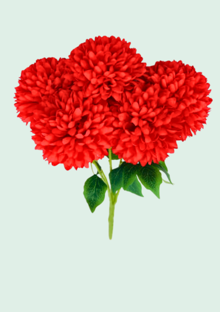 Pom-Pom Chrysanthemum Stem